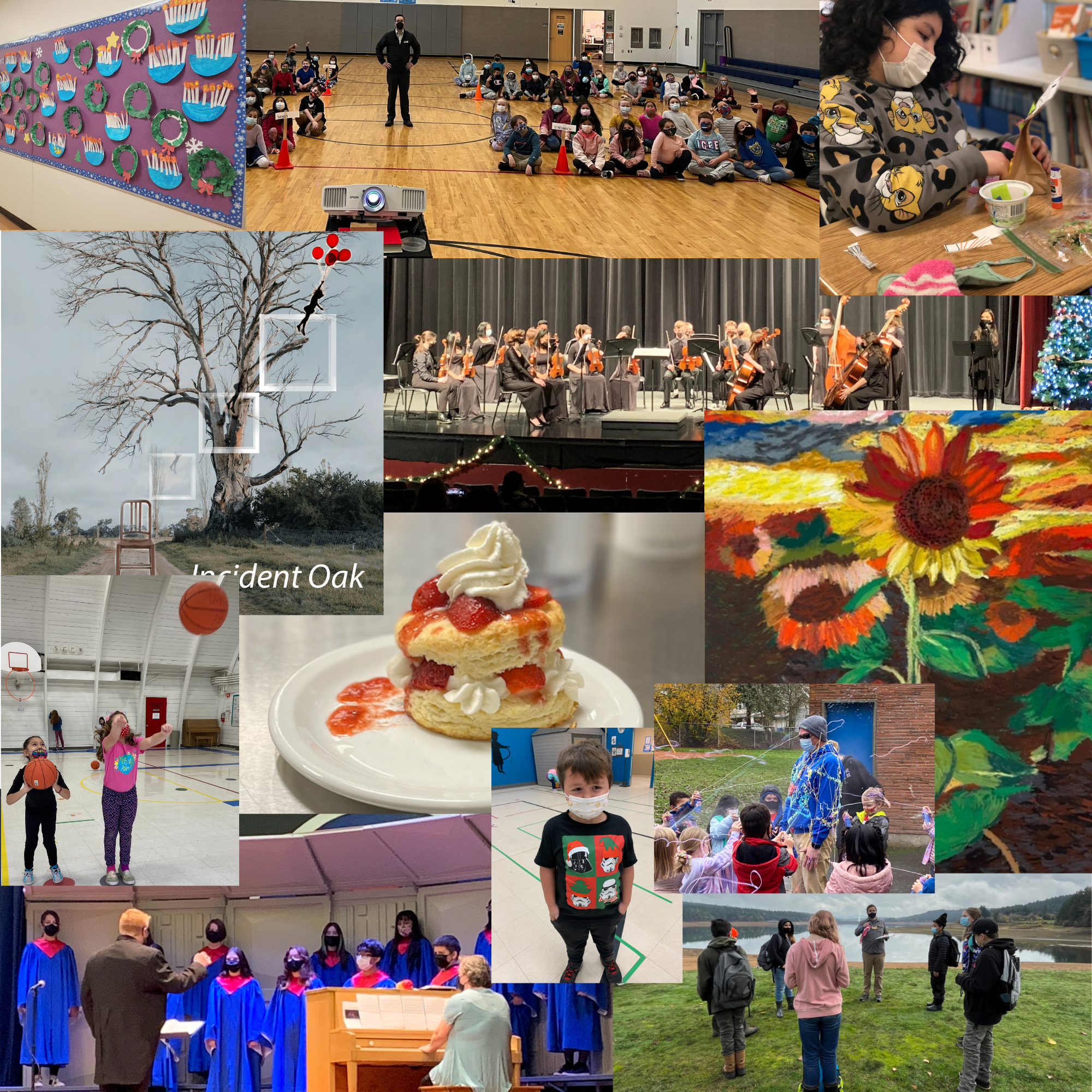 Collage of student activities at schools across the district