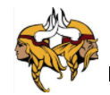 FGHS Vikings girls and boys sports logo 